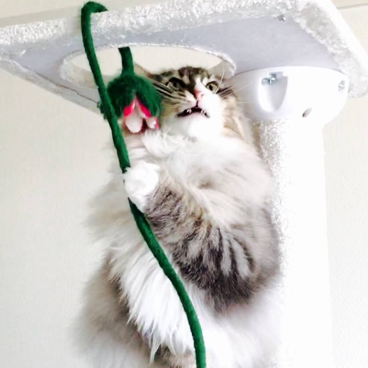 6a1f63b8 b10c 49fc 97ef effa0d0980aa