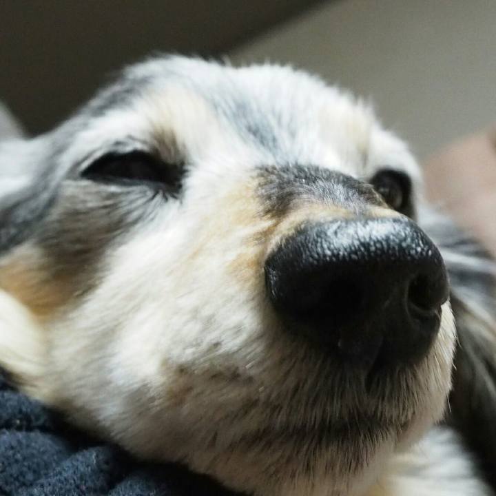 6a201932 9173 4014 86eb 473c05fa3ab7