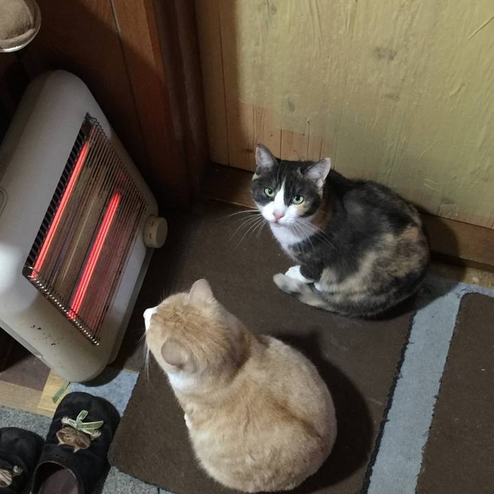 6a201e2a ff53 4f31 afe5 c5c034c4e1bd