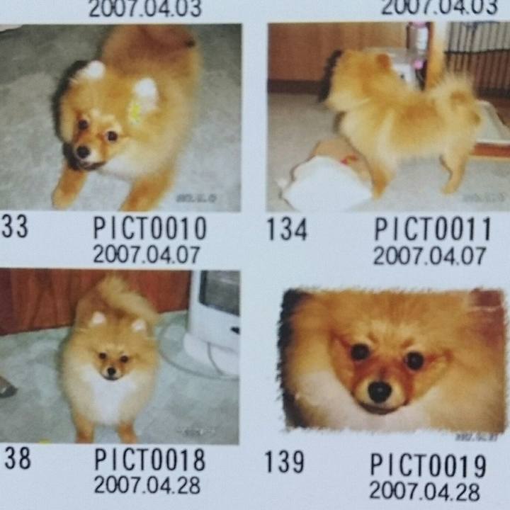 6a202706 3c81 4486 ab59 8ccb2f295688