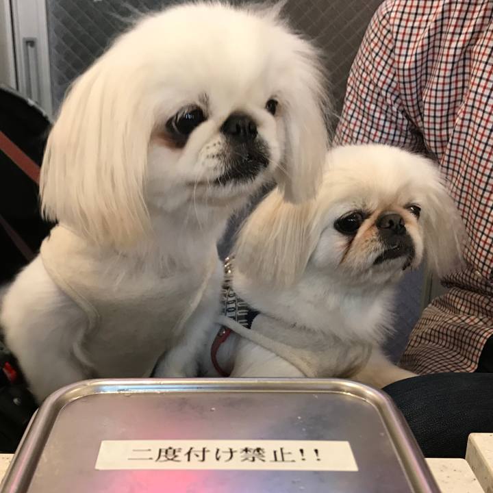 6a216820 e200 4b90 af76 e2b30b894a69