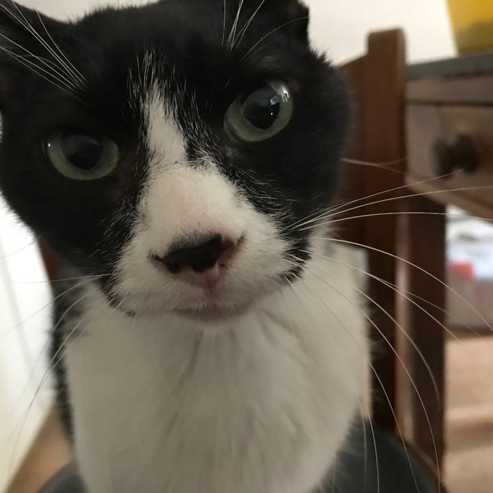 6a218e12 39db 4290 97cb 27a7419fb43f