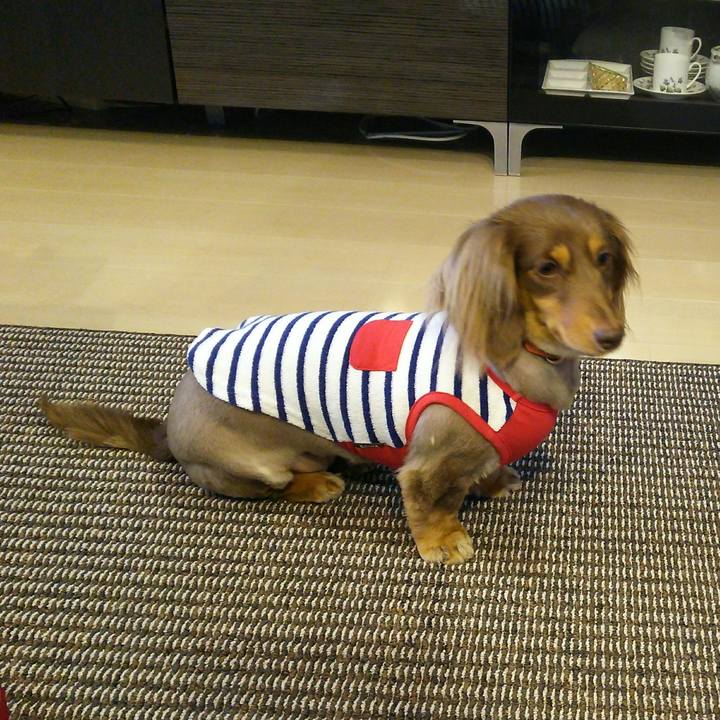 6a21ba92 4099 4bb7 a258 ba6936c8a5ad