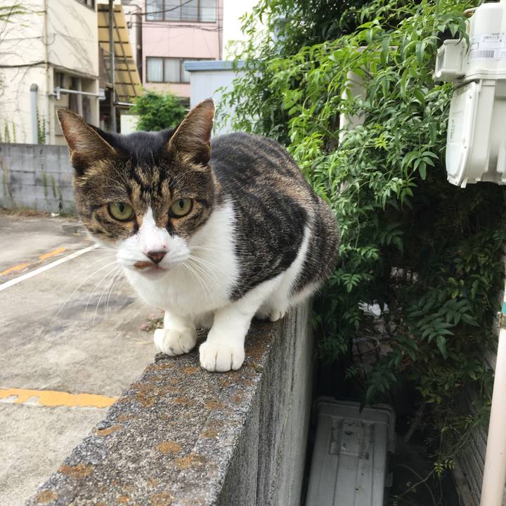 6a222387 b2f4 4a25 9f80 564292ca5d22