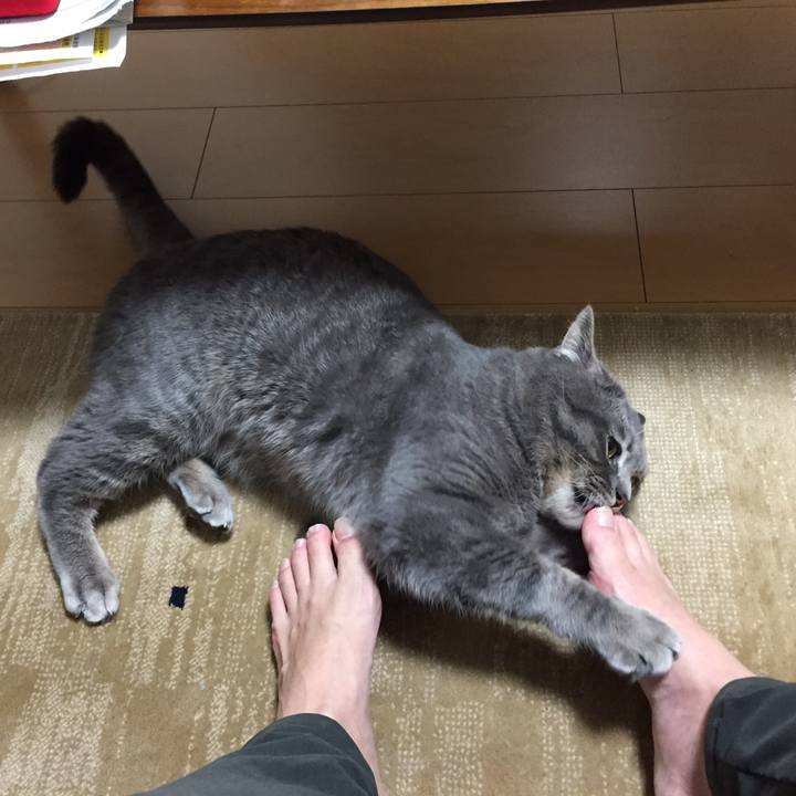 6a2386f7 c5ff 477d a333 d11fb5a3eaae