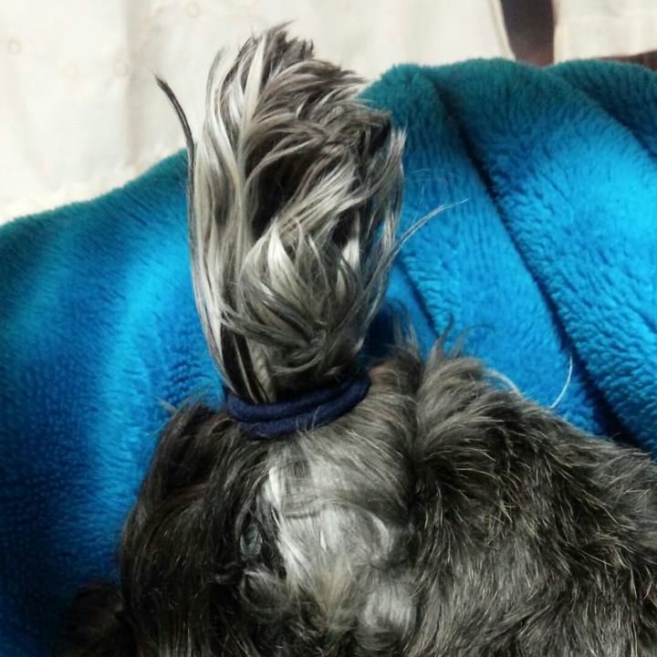 6a23877a 95c3 4b31 8a39 2ad5c0df8da4