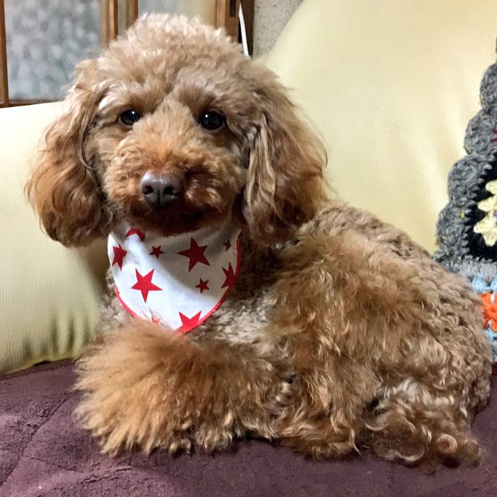 6a2449f8 5040 4cca 84d4 4910c8d2a3e5