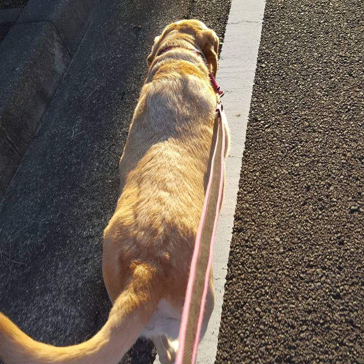 6a244b50 f0e9 4162 8180 906a153e60c7