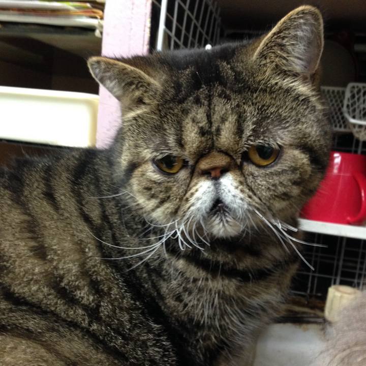 6a24ce86 618f 4558 8856 b78e14bbf6e0