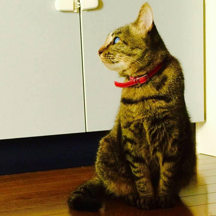 6a254651 a69a 4322 a5d0 a4b5786534bf