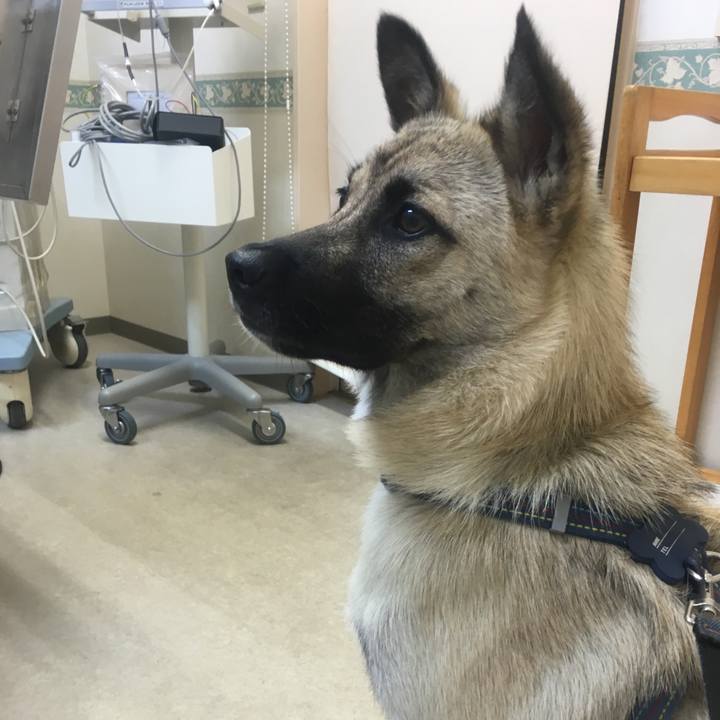 6a25a5c2 612f 496b 9996 7f795633a014