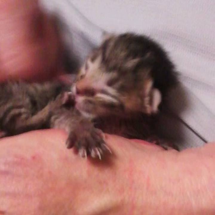 6a25f433 6fe1 463f a40f 7ba9fb10a306