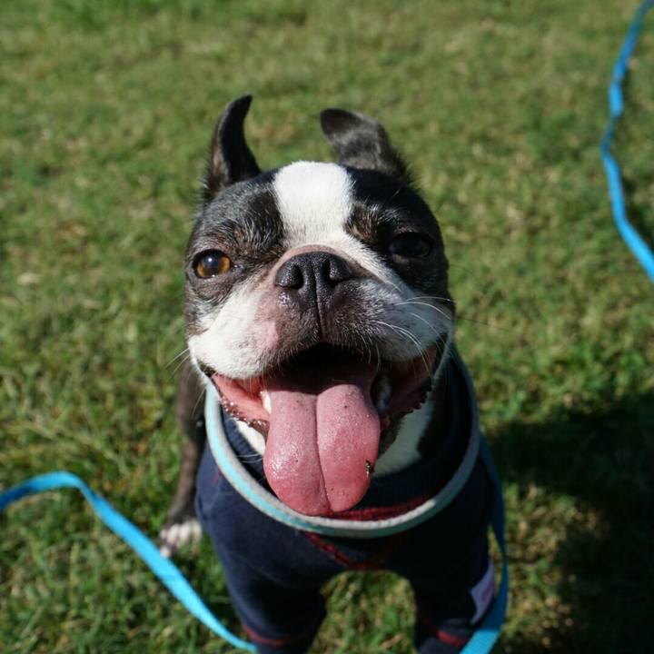 6a260ef5 13d4 42a8 a172 c668a672b5a5