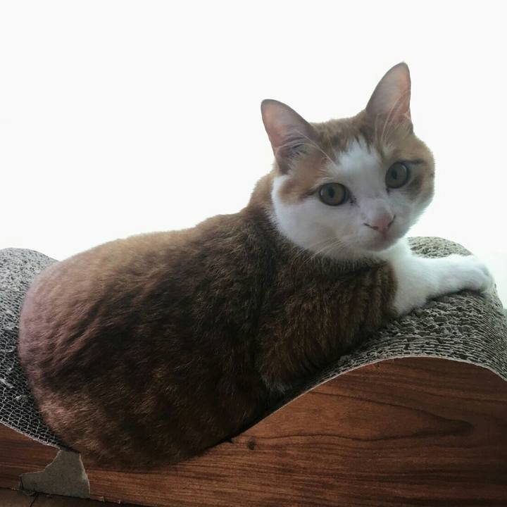 6a264ddc b2eb 46d4 a547 a64b2ac5e83d