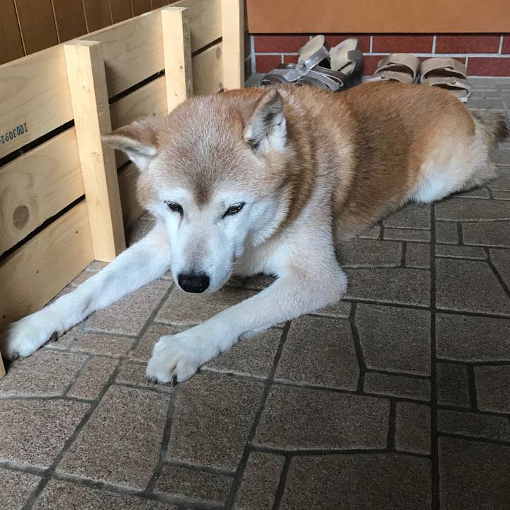 6a266c68 90a0 4fc0 a495 7f9579c7e28d