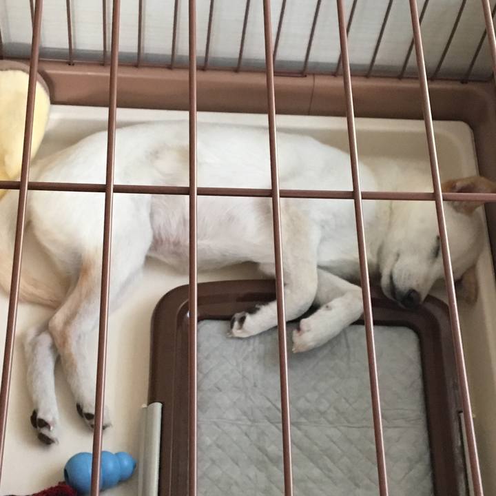 6a27be27 2b27 454c 939e a8b15f965f3a