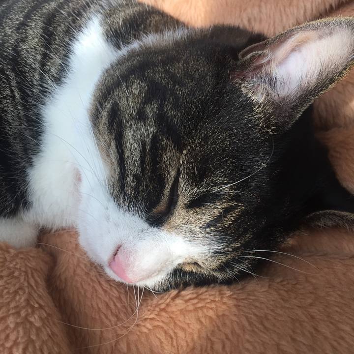 6a27e04a 59fc 4914 a917 cfa57c7f7a83