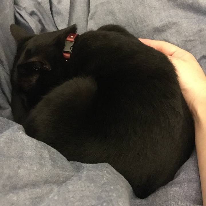 6a27e98a afef 4bdf 885a 03b6c77ca2e9