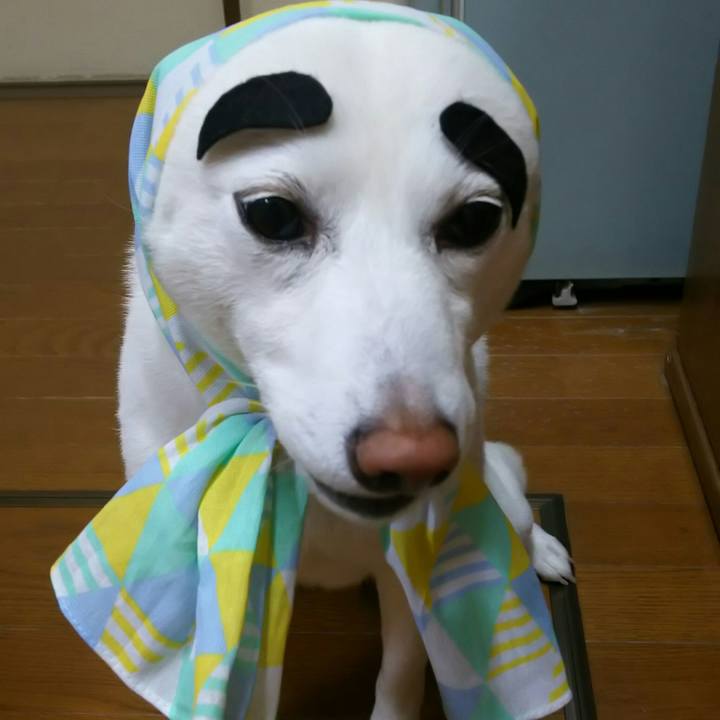 6a28dbcf 0d8f 4566 a202 2f8f84126125