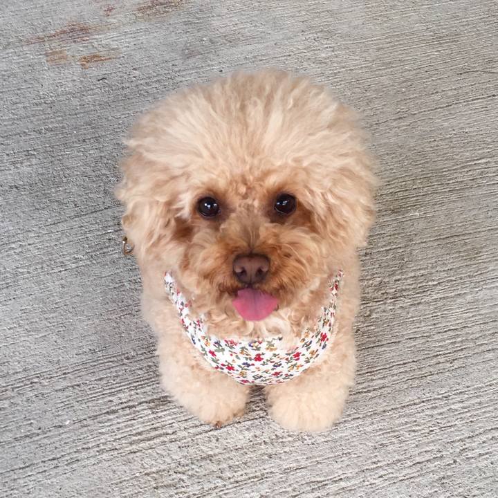 6a2a37fe 82eb 4665 b164 5d1c76c3d912