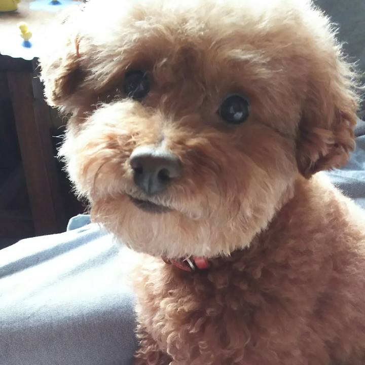 6a2b1e56 3b88 43c1 b9bb 1608fbc28fdc