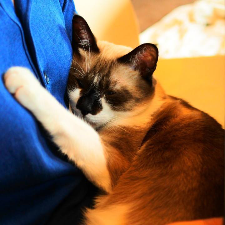 6a2b4b89 c7cf 4c5b 8558 e5abbac18213