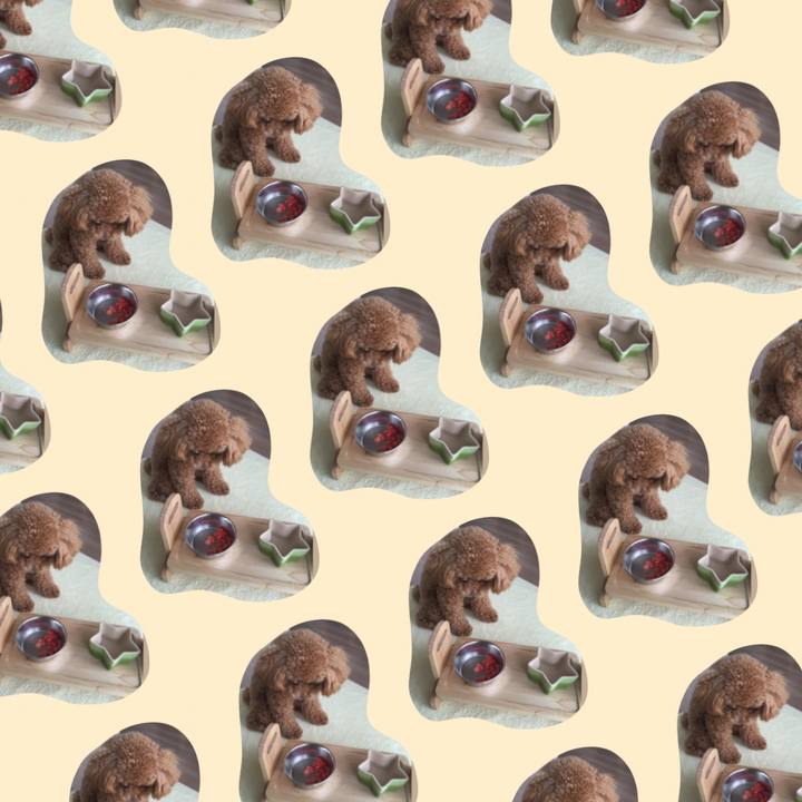 6a2b5335 4b12 42dc b9dc 7dfb15d6372d