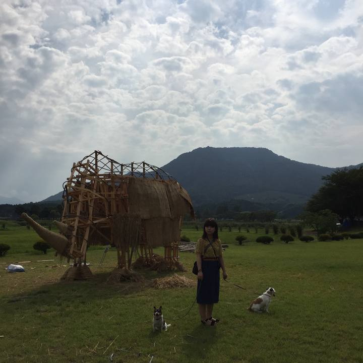 6a2b6f20 d3cc 467a 9810 2862285c2a38