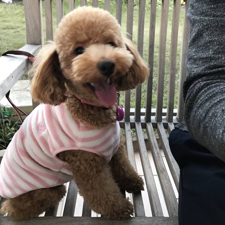 6a2b7bab 2b38 4377 91c4 7881479fded2