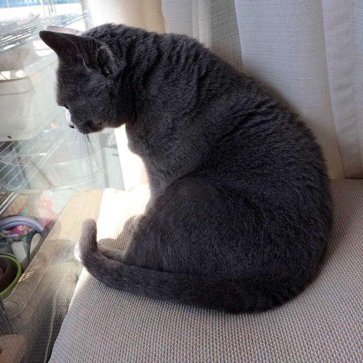 6a2bad54 8a0c 416d bf41 bfcd7d9c448e