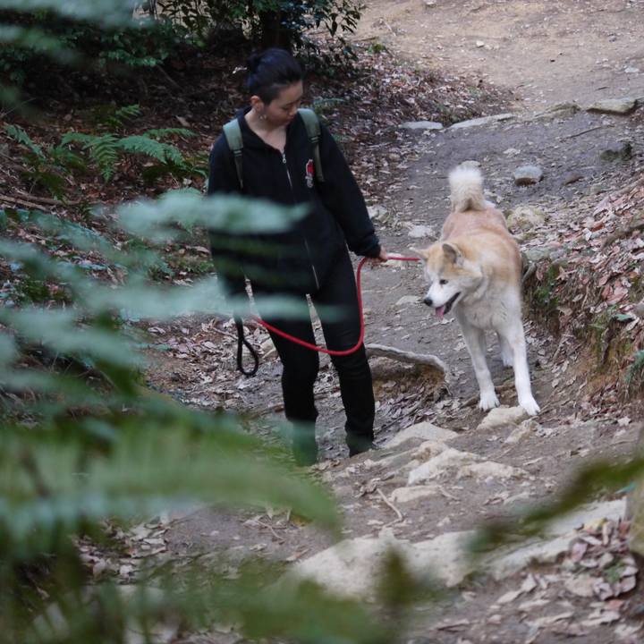 6a2bf2ec cc52 4262 86be d1db7012d765