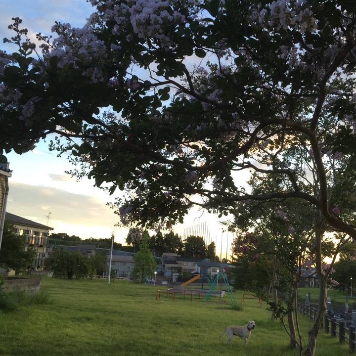 6a2c3840 8b85 4525 aaaf 137e38b70d09