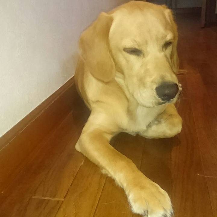 6a2cff94 113c 408c 8aa9 7348c75e370a