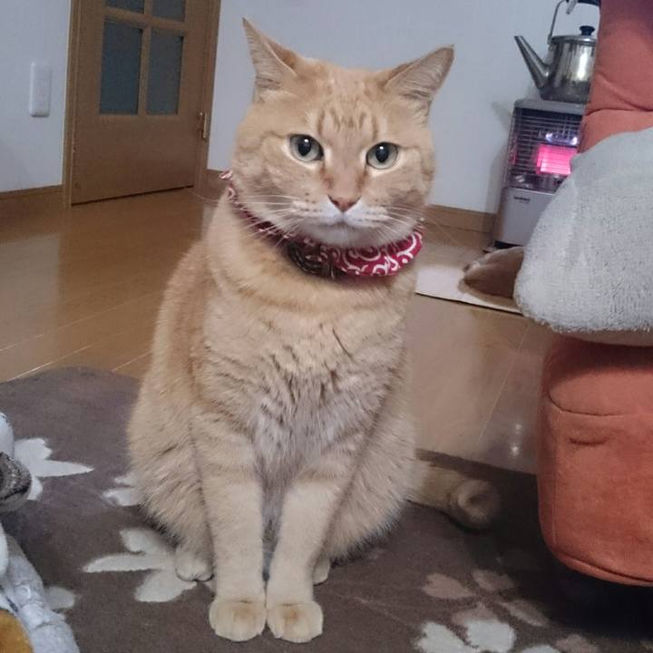 6a2d2c45 7ccc 4174 a098 f4498b56f365