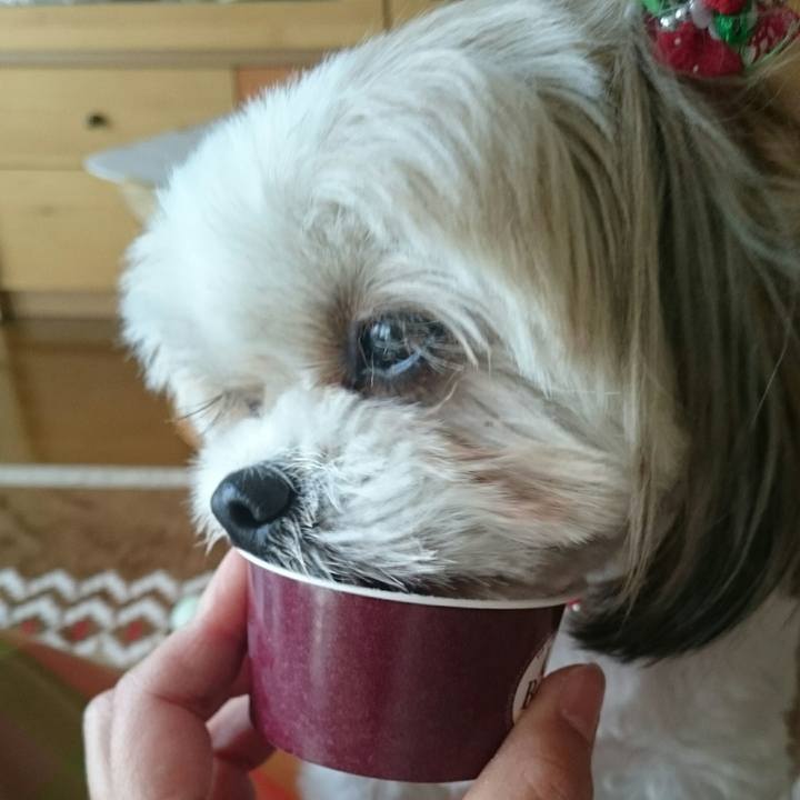 6a2e0e31 c9db 4eec 92b0 3b12ab869186