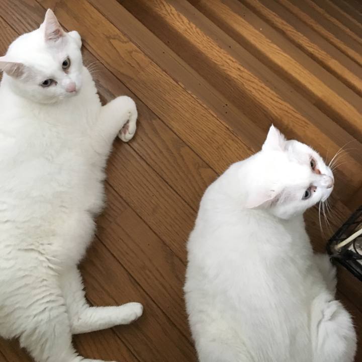 6a2f3f2f d36e 4b67 bd1c ca26a8d5abe4