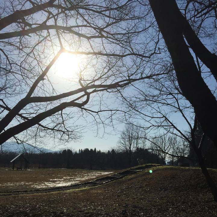 6a2fb235 756e 4001 8a3d 2c4171e289d7