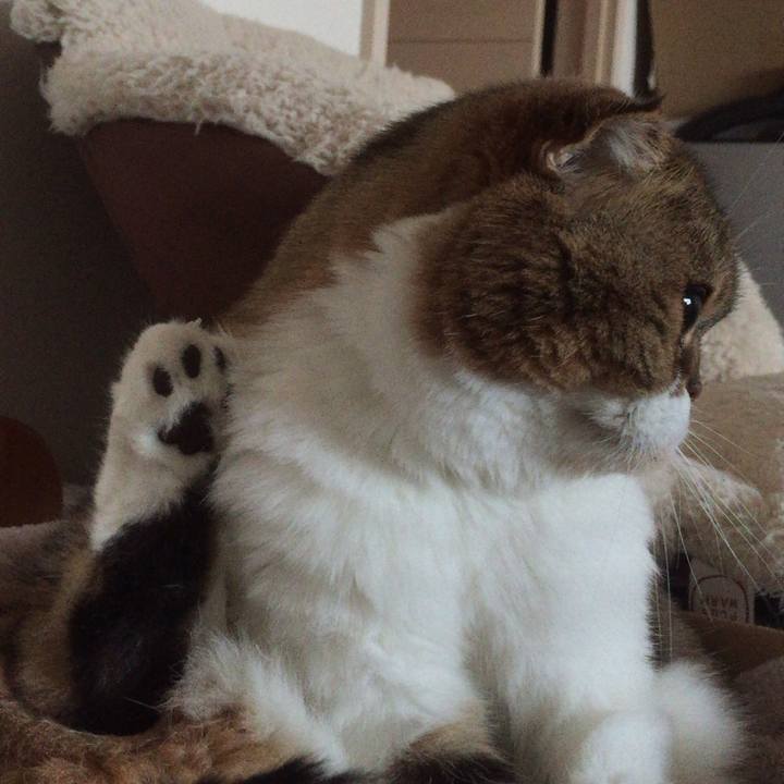 6a2fb6a1 9563 4113 b86d 517bd60f8c6e