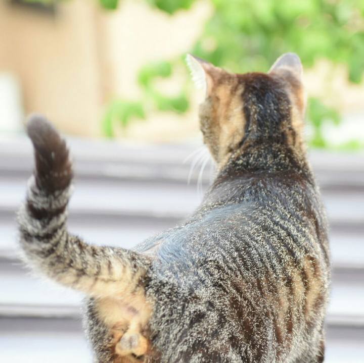 6a305ac7 3063 43c8 b1b6 63ad6f49b894