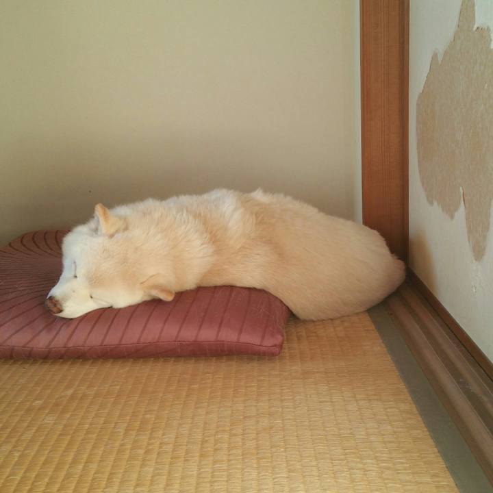 6a30a005 6e9f 488d a0ee 2daec7a78c75