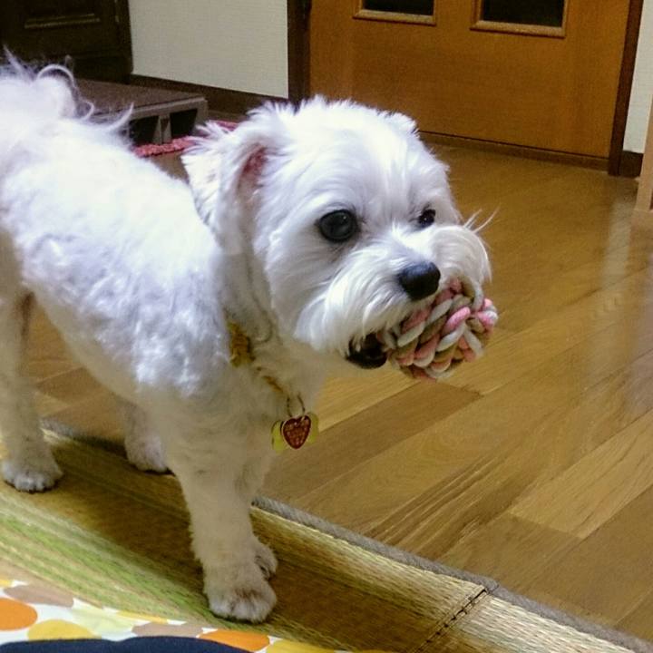 6a30b7a7 f586 440b bd59 b54372689eab