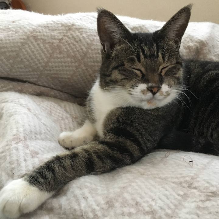 6a31424c ca1f 4123 9306 72666713bc83