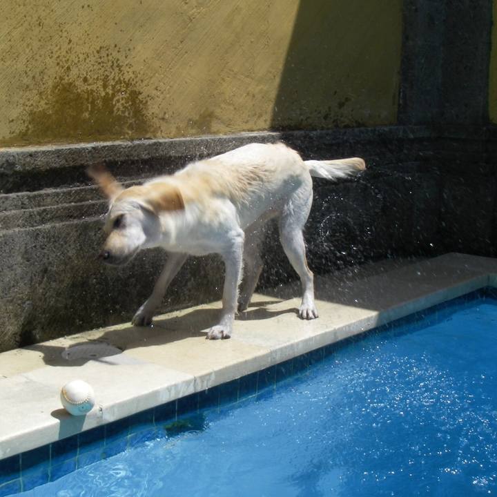 6a31e2f7 7ca6 439a 9945 2ff9fa26bced