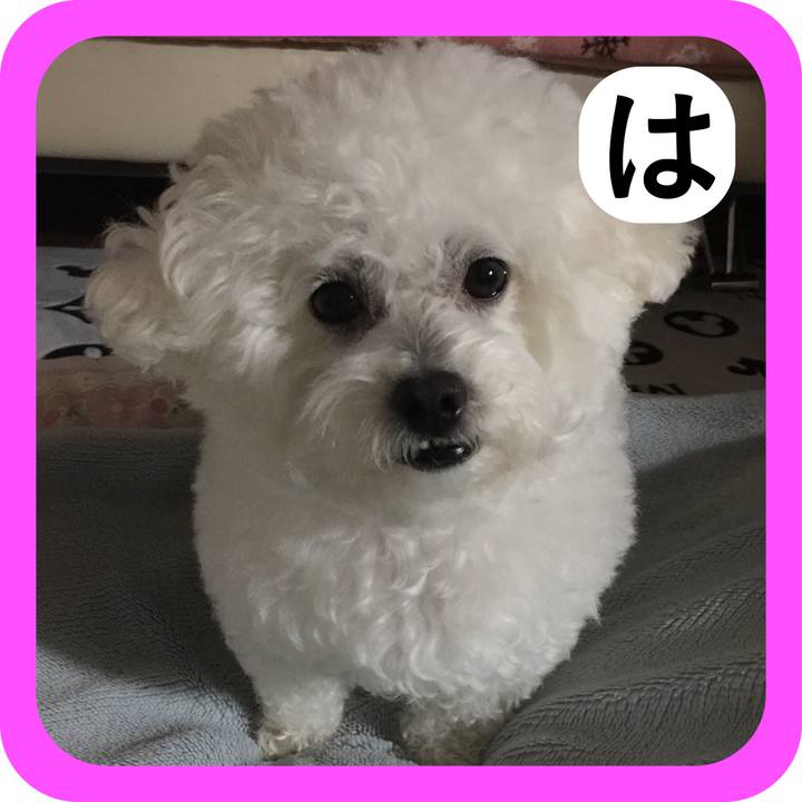 6a3202fb cbb6 4628 a8e9 73027c07826a