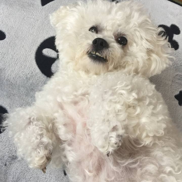 6a32d39e 9aa4 48be 95fd 3994396d3c2b