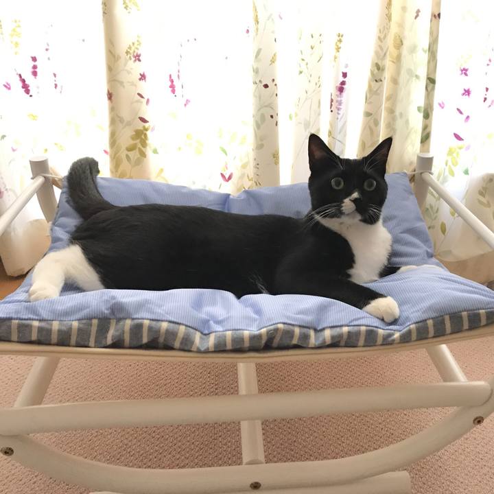 6a3355c5 5ade 4486 a277 576dc07054af