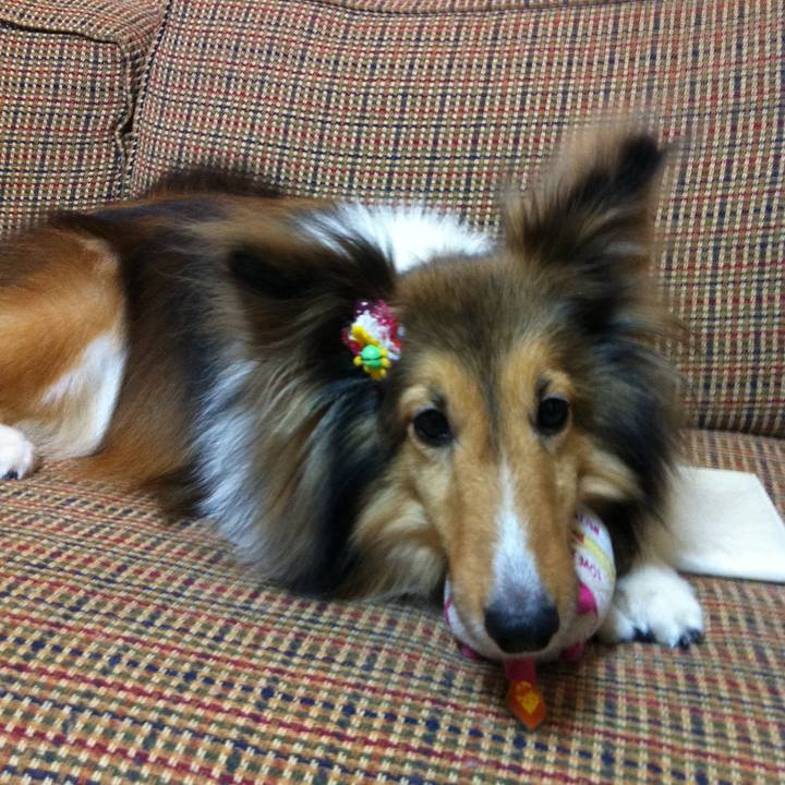 6a33a272 c9d8 405c ae3b 4070d18ab9fe