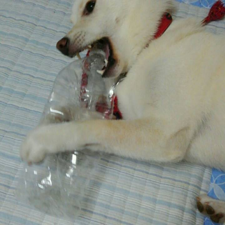 6a33fc16 f261 4305 8479 98f3b4511835