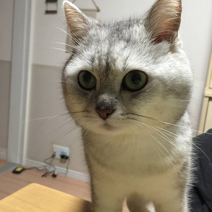 6a340a73 8c78 425b a96e 5e5c6ac1bbad