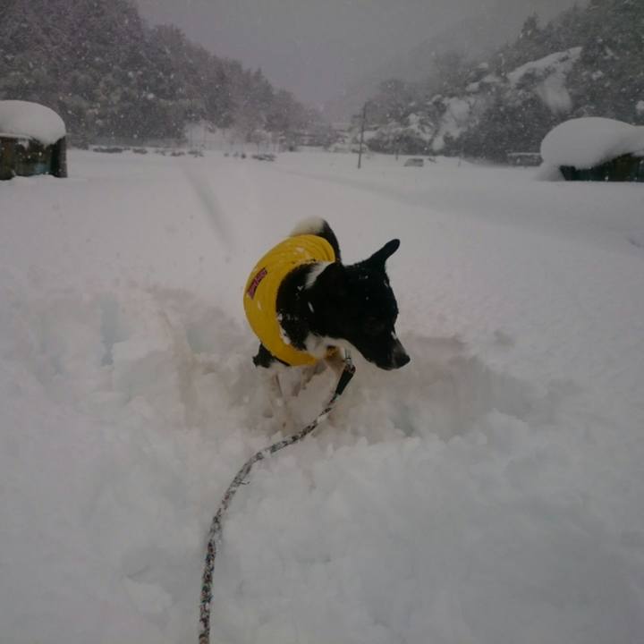 6a34cbf2 7af8 4940 88d0 8bb3c8ce116a